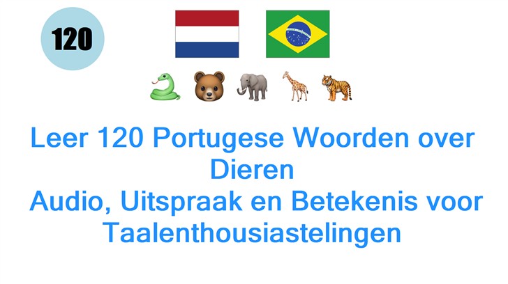 Leer 120 Portugese Woorden over Dieren: Audio, Uitspraak en Betekenis voor Taalenthousiastelingen